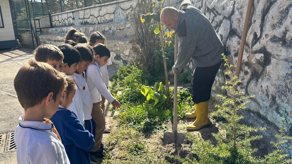    1.Sınıf Öğrencilerimizin Cumhuriyet Fidan Dikme Etkinliği